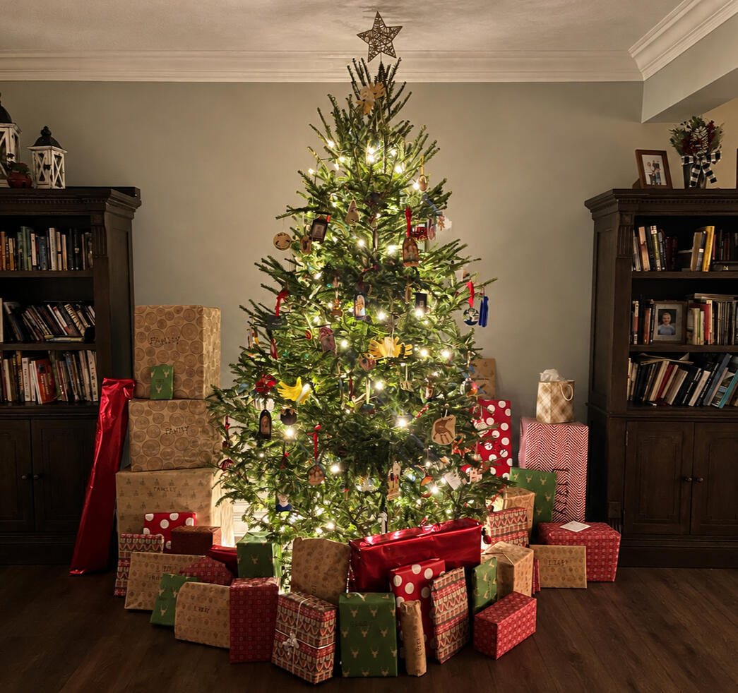 HOLIDAY DECORATING & CLEAN UP - From decorating your home to packing everything away into clearly labeled containers, we will make the holidays simpler and more enjoyable, so your have time to make memories!